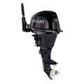 PARSUN F9.9ABMS-EFI PRO в Чите