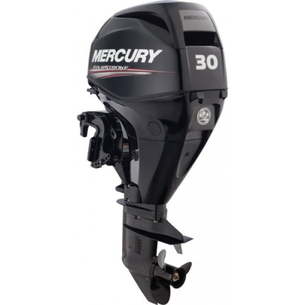 Мотор Mercury ME F 30 M GA EFI в Чите